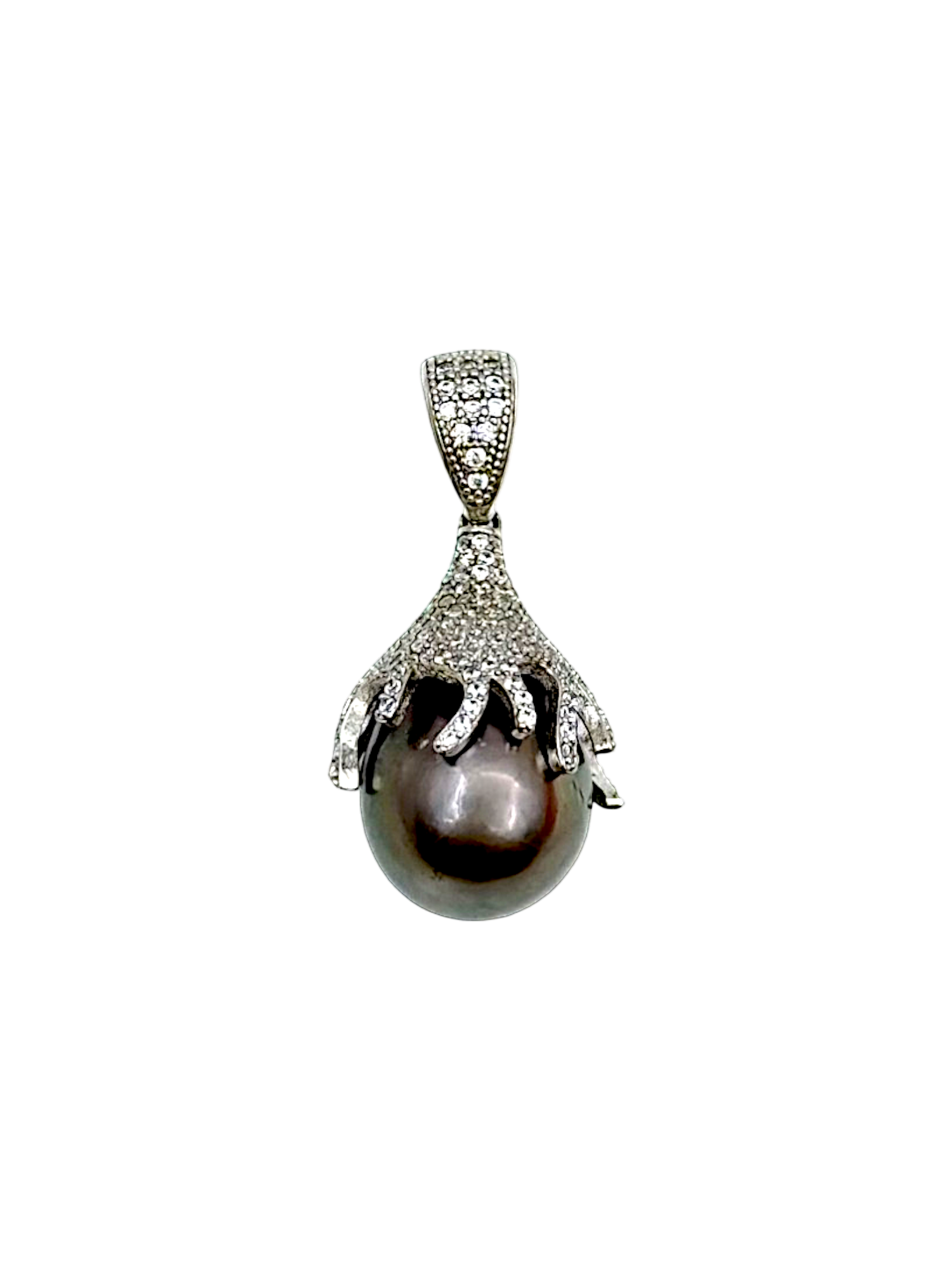 P00038-P-TP-Photoroom